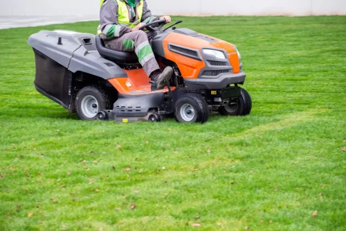 mowing after overseeding your lawn