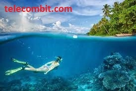 Catalina Islands for Diving or Snorkeling Guanacaste-telecombit.com