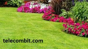 Choosing the Right Landscaping Maintenance Services-telecombit.com