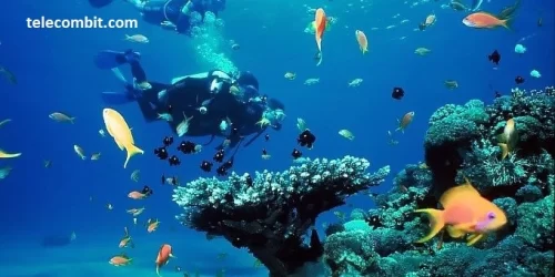 Guanacaste Province: Diving in the Pacific-telecombit.com