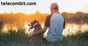 The Human-Dog Bond: Strengthened Via Travel-telecombit.com