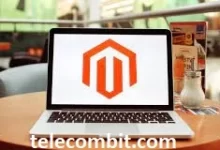Photo of How to Pick Perfect Magento Ecommerce Development Service