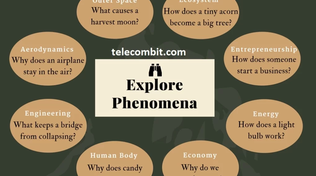 Investigating the Phenomenon-telecombit.com