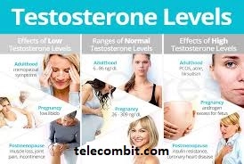 Keeping Healthy Testosterone Levels-telecombit.com
