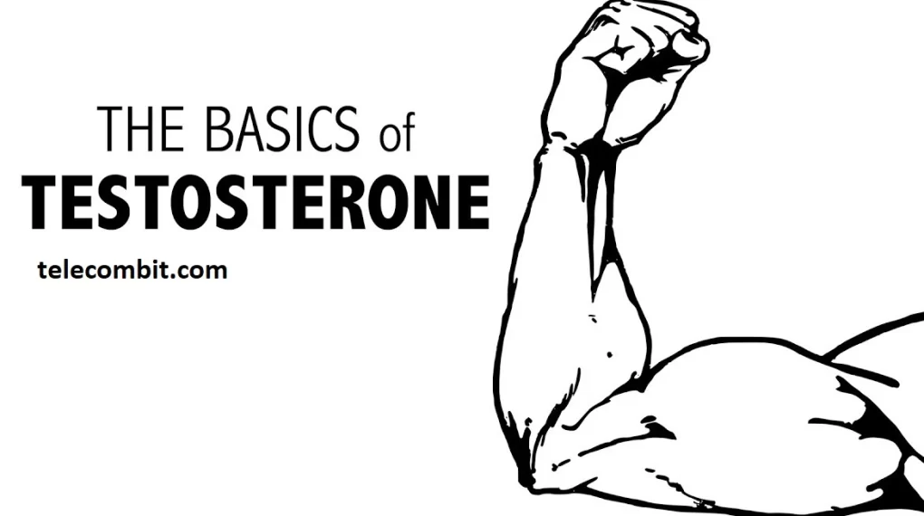 Roles of Testosterone: Beyond the Basics-telecombit.com