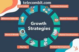 Tailored Strategies for Growth -telecombit.com