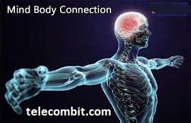 The Mind-Body Connection-telecombit.com