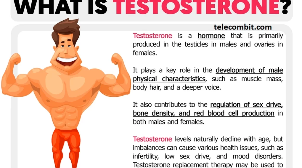 What is Testosterone?-telecombit.com