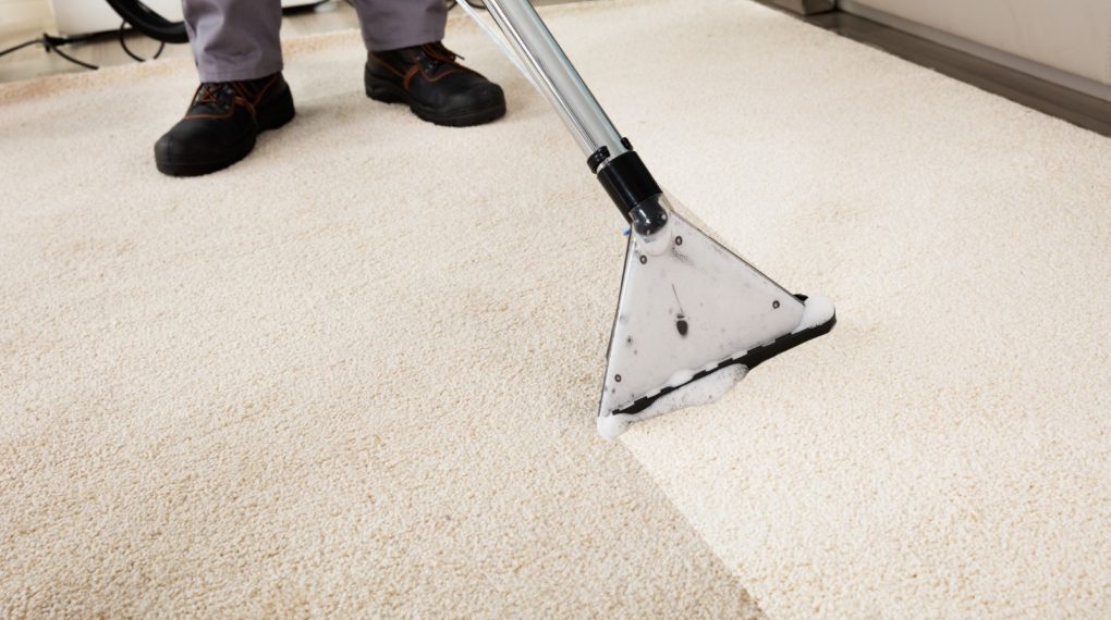 pet-friendly carpet cleaner