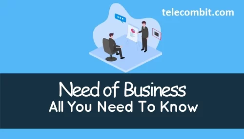 Determine your business needs-telecombit.com