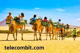 Enthralling Camel Riding -telecombit.com