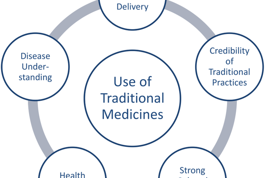 Importance Of Traditional Medicine