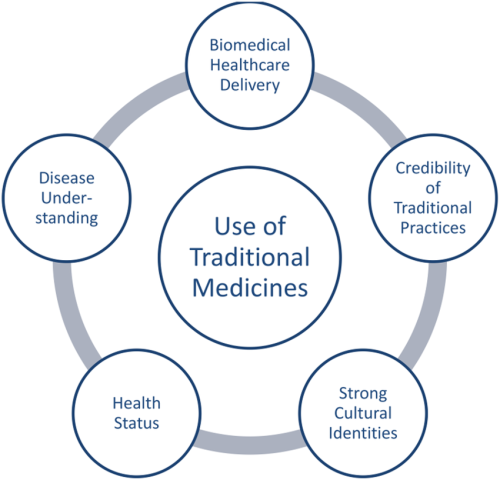 Importance Of Traditional Medicine In 2024