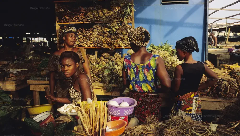 The Medicinal Plants Market in Africa