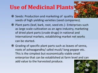 Uses Of Medicinal Plants: