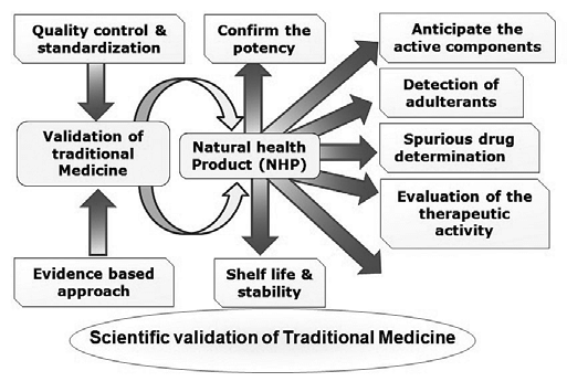 Validation of Thai traditional medicine: Situation today
