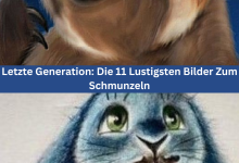 Photo of Letzte Generation: Die 11 Lustigsten Bilder Zum Schmunzeln