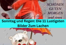 Photo of Sonntag und Regen: Die 11 Lustigsten Bilder Zum Lachen
