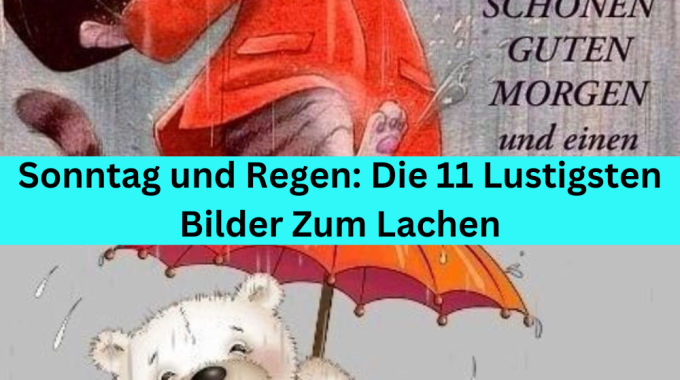 Sonntag und Regen: Die 11 Lustigsten Bilder Zum Lachen