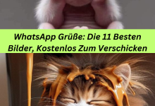 Photo of WhatsApp Grüße: Die 11 Besten Bilder, Kostenlos Zum Verschicken
