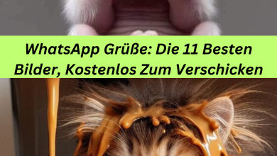 Photo of WhatsApp Grüße: Die 11 Besten Bilder, Kostenlos Zum Verschicken