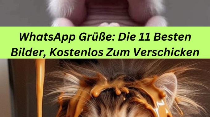 WhatsApp Grüße: Die 11 Besten Bilder, Kostenlos Zum Verschicken