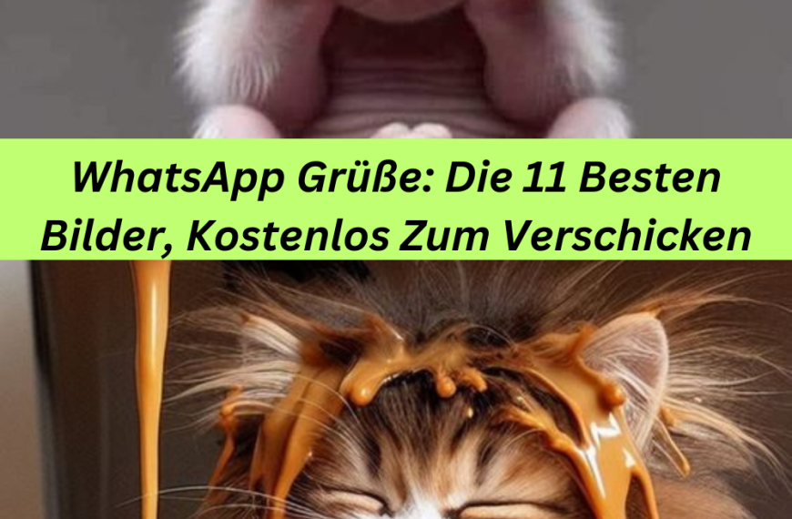 WhatsApp Grüße: Die 11 Besten Bilder, Kostenlos Zum Verschicken