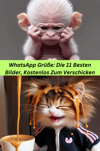 WhatsApp Grüße: Die 11 Besten Bilder, Kostenlos Zum Verschicken