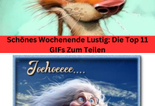 Photo of Schönes Wochenende Lustig: Die Top 11 GIFs Zum Teilen