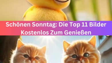 Photo of Schönen Sonntag: Die Top 11 Bilder Kostenlos Zum Genießen