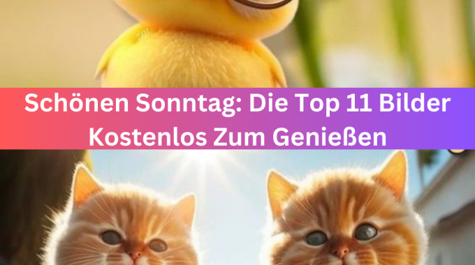 Schönen Sonntag: Die Top 11 Bilder Kostenlos Zum Genießen