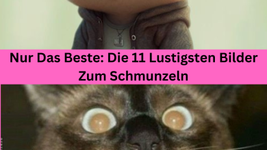 Photo of Nur Das Beste: Die 11 Lustigsten Bilder Zum Schmunzeln