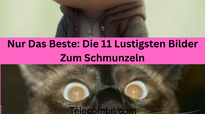 Nur Das Beste: Die 11 Lustigsten Bilder Zum Schmunzeln