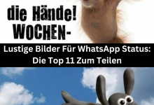 Photo of Lustige Bilder Für WhatsApp Status: Die Top 11 Zum Teilen