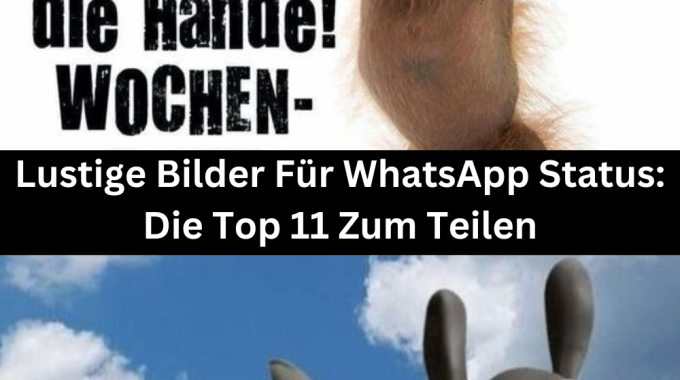 Lustige Bilder Für WhatsApp Status: Die Top 11 Zum Teilen