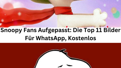 Photo of Snoopy Fans Aufgepasst: Die Top 11 Bilder Für WhatsApp, Kostenlos