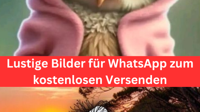 Lustige Bilder Für WhatsApp: Die Top 11 Zum Kostenlosen Verschicken