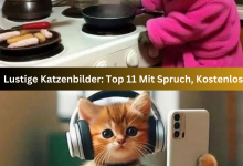 Photo of Lustige Katzenbilder: Top 11 Mit Spruch, Kostenlos
