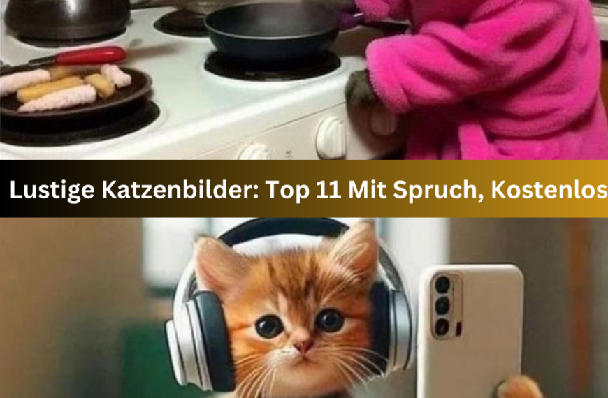 Lustige Katzenbilder: Top 11 Mit Spruch, Kostenlos
