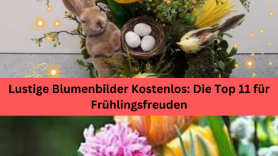 Photo of Lustige Blumenbilder Kostenlos: Die Top 11 für Frühlingsfreuden