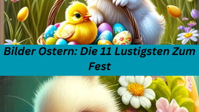 Photo of Bilder Ostern: Die 11 Lustigsten Zum Fest