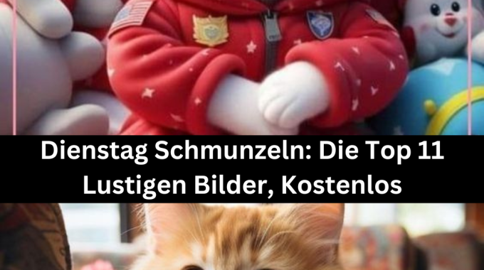 Dienstag Schmunzeln: Die Top 11 Lustigen Bilder, Kostenlos