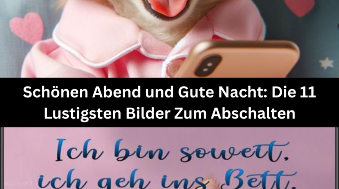 Schönen Abend und Gute Nacht: Die 11 Lustigsten Bilder Zum Abschalten