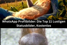 Photo of WhatsApp Profilbilder: Die Top 11 Lustigen Statusbilder, Kostenlos