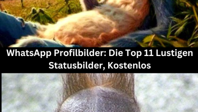 Photo of WhatsApp Profilbilder: Die Top 11 Lustigen Statusbilder, Kostenlos