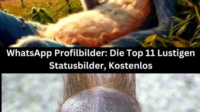 WhatsApp Profilbilder: Die Top 11 Lustigen Statusbilder, Kostenlos