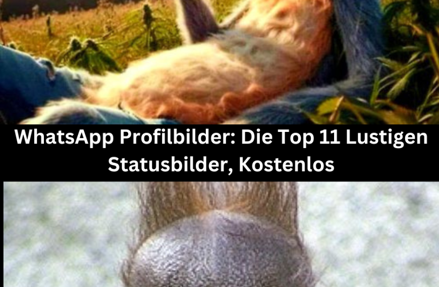 WhatsApp Profilbilder: Die Top 11 Lustigen Statusbilder, Kostenlos