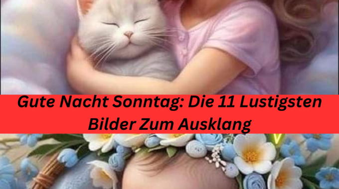 Gute Nacht Sonntag: Die 11 Lustigsten Bilder Zum Ausklang