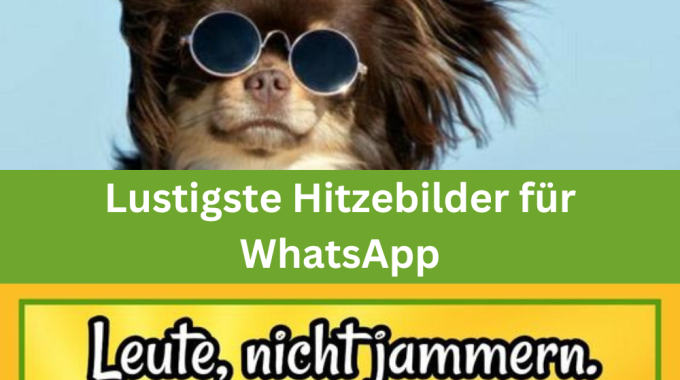 Die 11 Lustigsten Hitze Bilder Für WhatsApp: Kostenlos Teilen