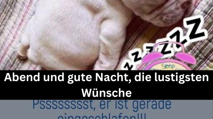 Einen Schönen Abend und Gute Nacht: Die 11 Lustigsten Wünsche